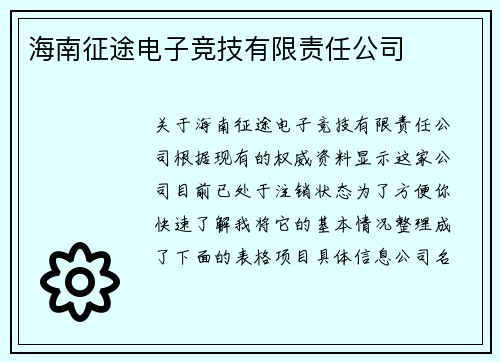 海南征途电子竞技有限责任公司